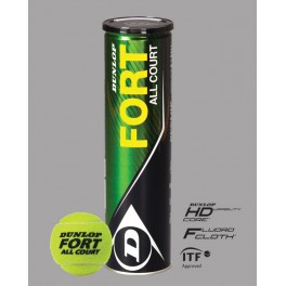 Dunlop FORT ALL COURT 4ks